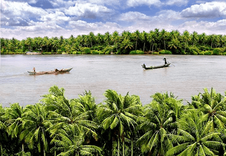 mekong delta coconuts