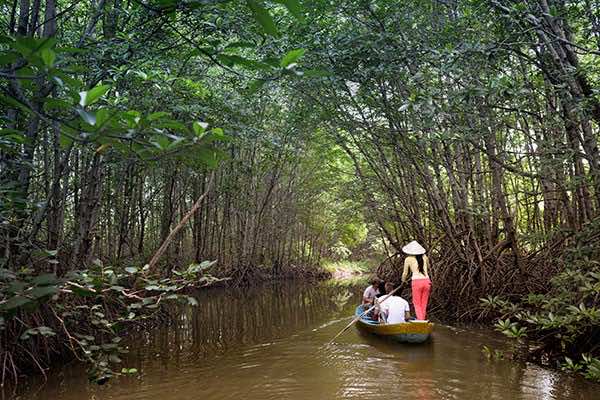 can gio mangrove forest