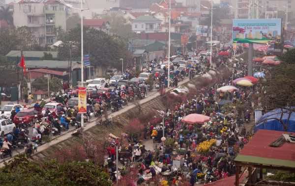 Enjoy Tet atmosphere at flower markets