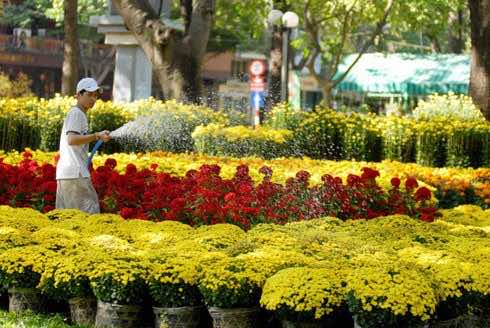 Lunar-New-Year-Ho Chi Minh-City-Vietnam-1