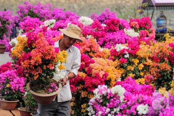 In Photos: Celebrating Ho Chi Minh in Vietnam, Gallery