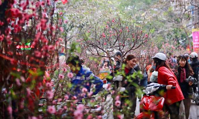 Traveling-Vietnam-during-Tet-Holiday-Tet--flower-market