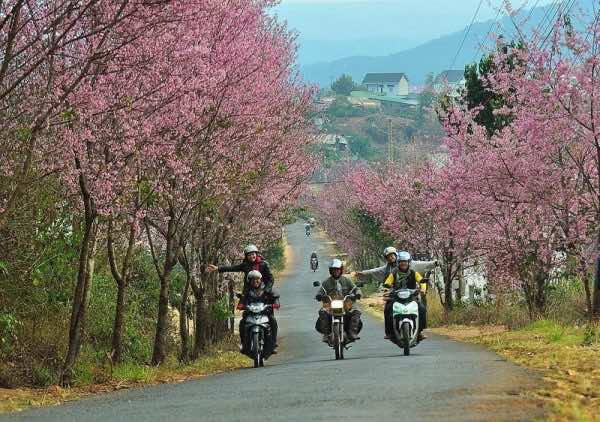 Traveling-motorbike-vietnam