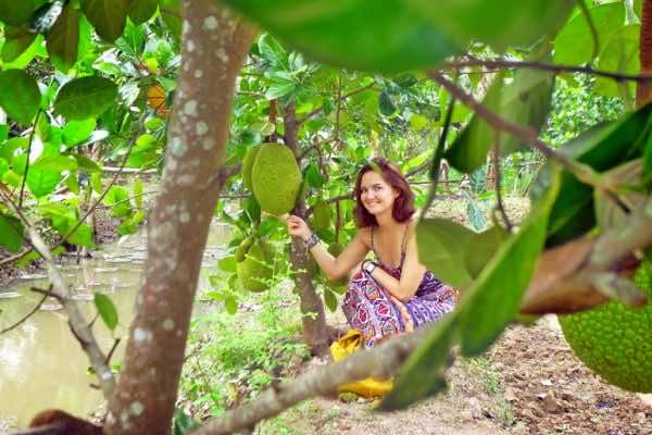 attraction-mekong-delta-Fruit-Orchards-1
