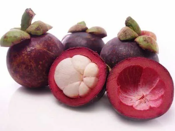 Mang-cut-Mangosteen