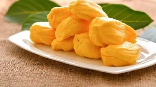 Mit-Jackfruit