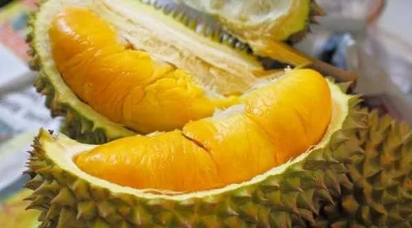 Sau-rieng-Durian