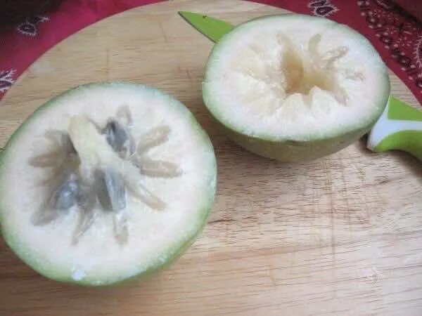 Vu-sua-Star-Apple