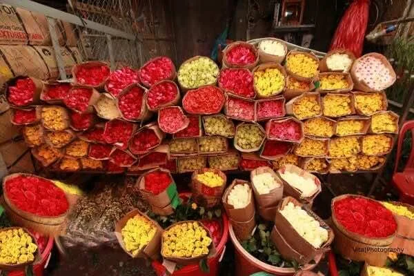 Ho-Thi-Ky-Flower-Market-in-Ho-Chi-Minh-City-1