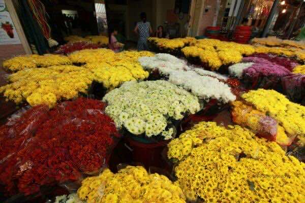 Ho-Thi-Ky-Flower-Market-in-Ho-Chi-Minh-City-2