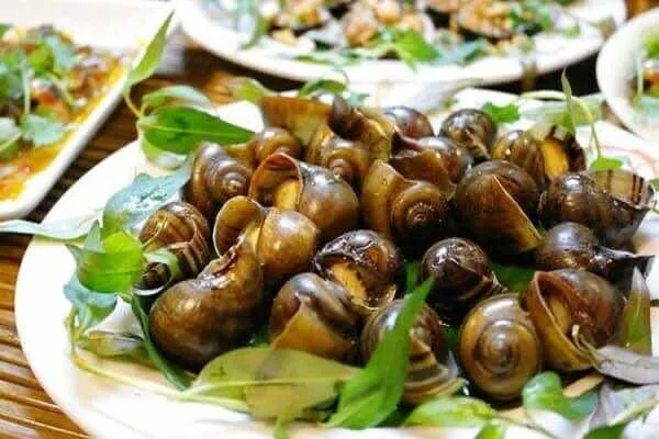 Snails-and-shellfish-1