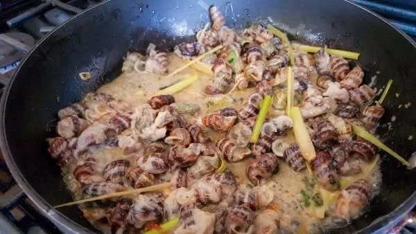 Snails-and-shellfish-2
