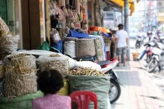 The-Oriental-medicine-streets-1