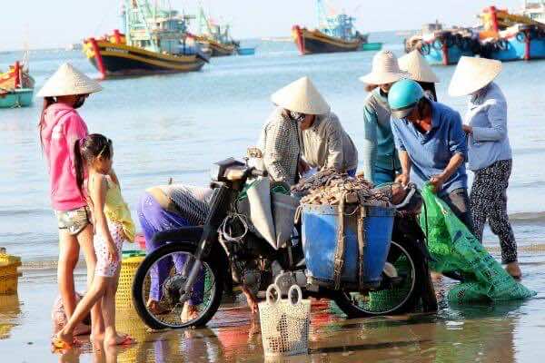 Visit-fish-market-in-the-early-morning-1