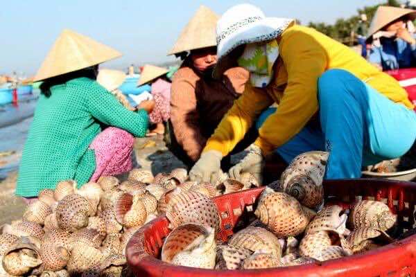 Visit-fish-market-in-the-early-morning-2